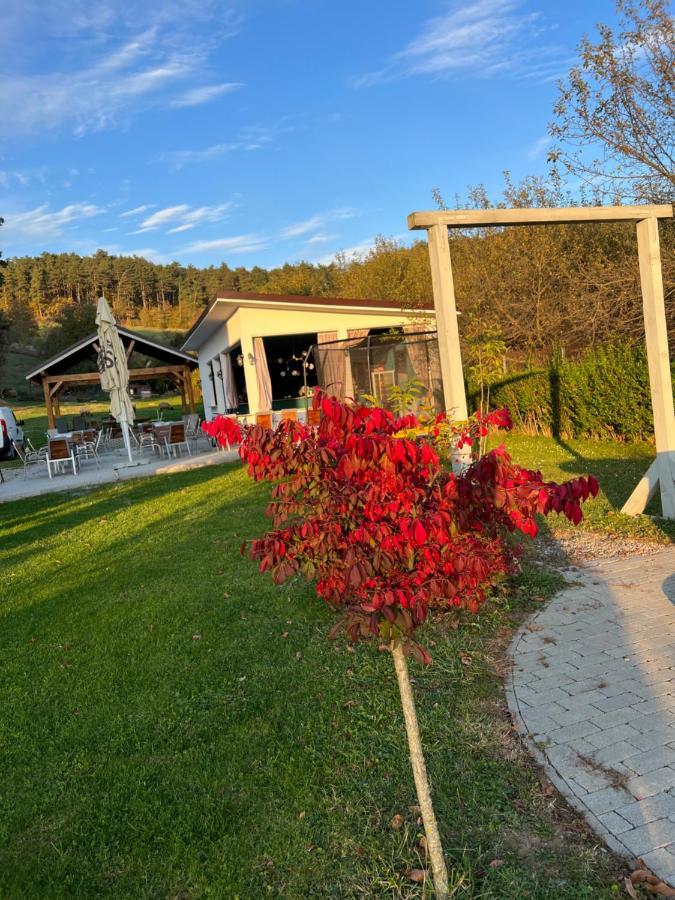 Pensiunea Baroc Dobirlau Extérieur photo