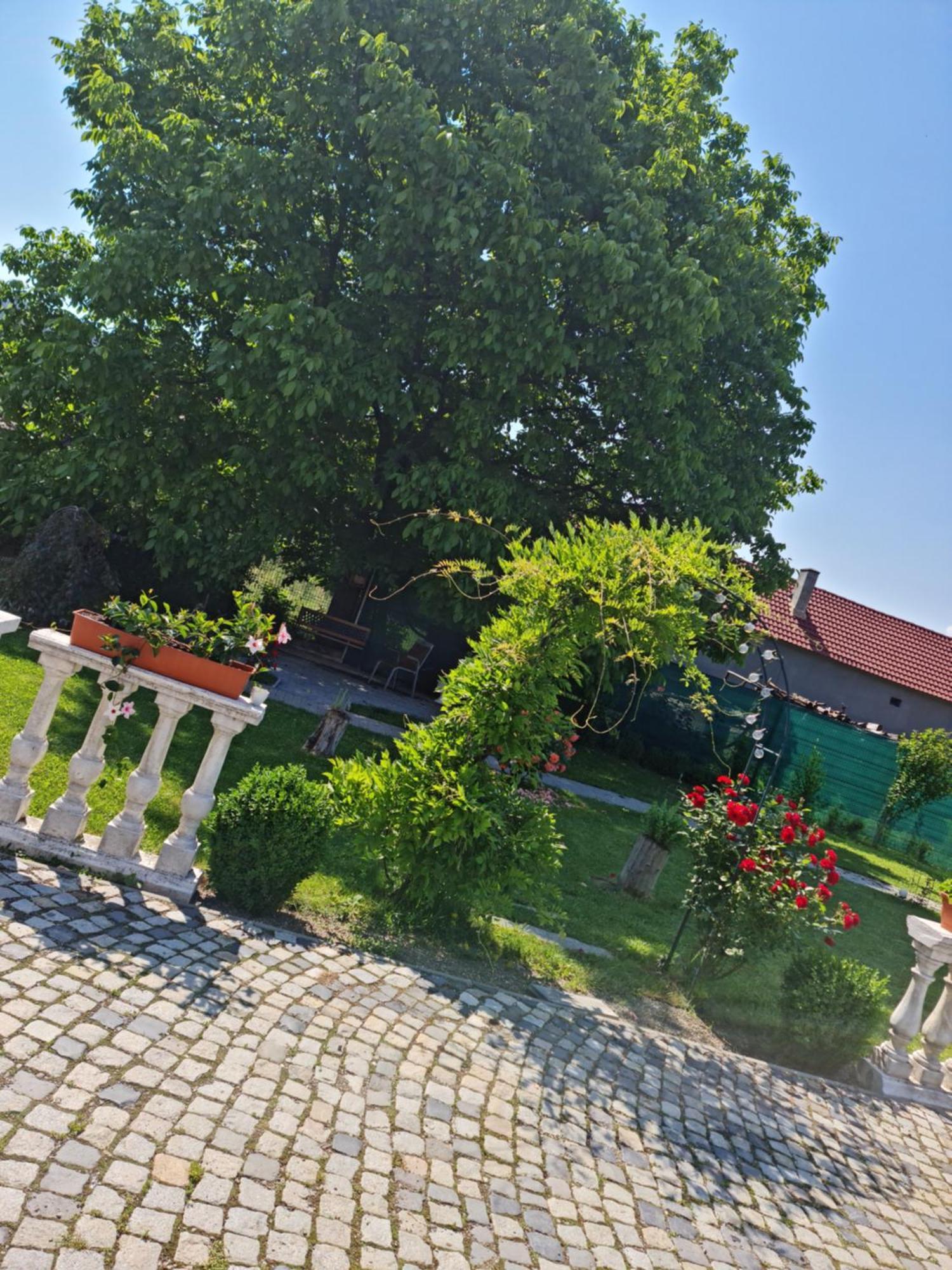 Pensiunea Baroc Dobirlau Extérieur photo