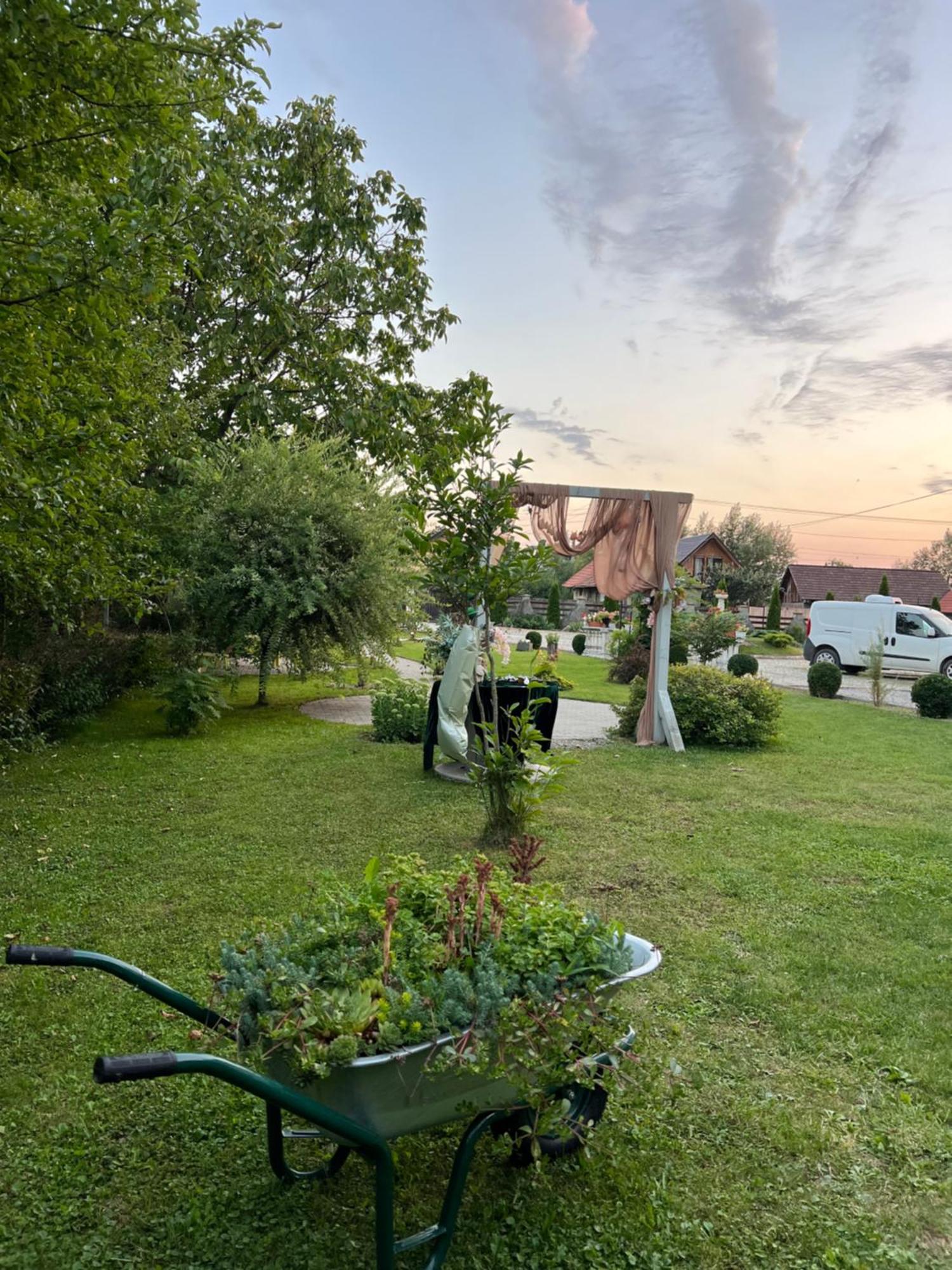 Pensiunea Baroc Dobirlau Extérieur photo
